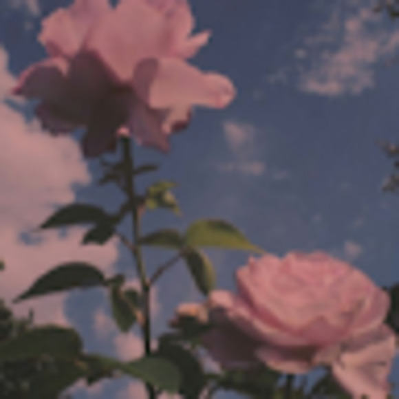 Meet your Posher, Caroline - Picture 1 of 1